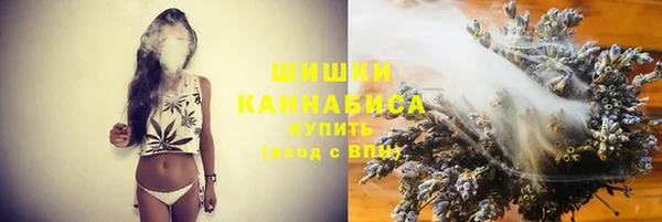 хмурый Мегион