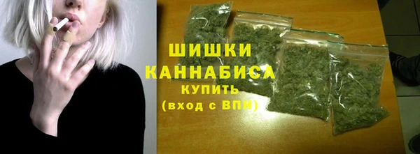 гашик Медногорск