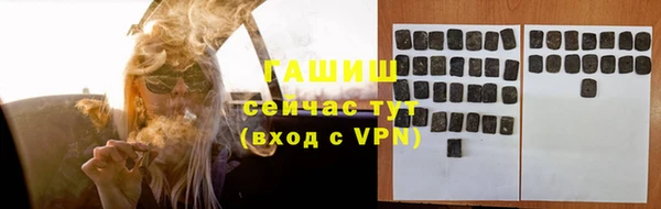 хмурый Мегион
