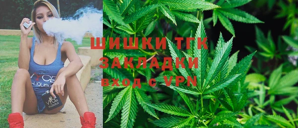 гашик Медногорск