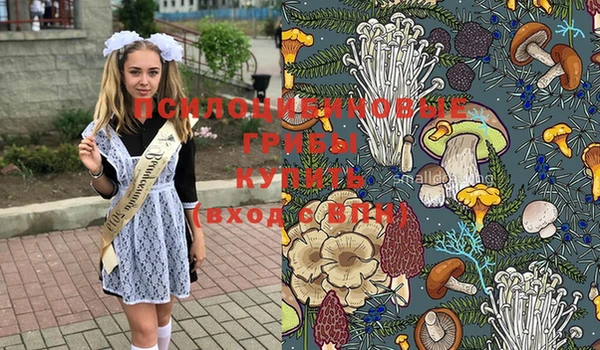 не бодяженный Медвежьегорск