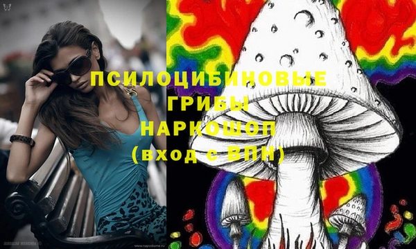 гашик Медногорск