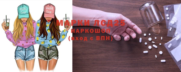 гашик Медногорск