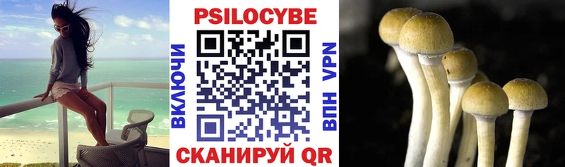 Галлюциногенные грибы Magic Shrooms  кракен ONION  Чадан 